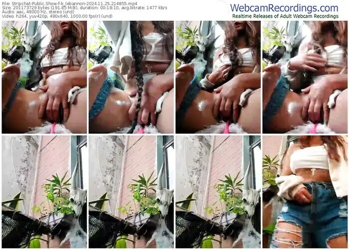 stripchat-k_lebannon-11-25-2024-21-48-55