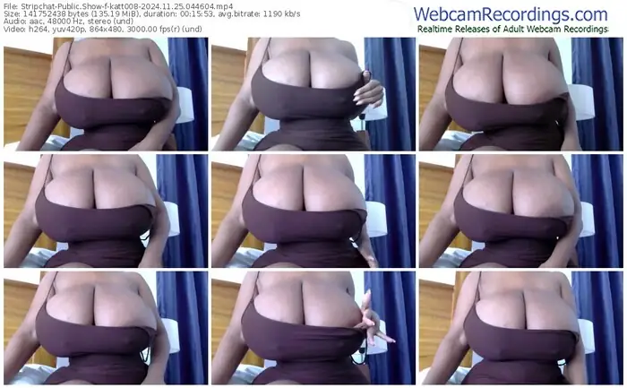 stripchat-katt008-11-25-2024-04-46-04