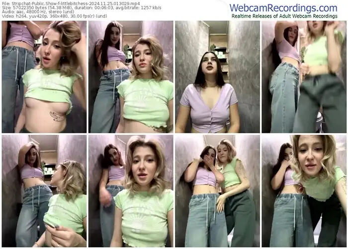 stripchat-littlebitchess-11-25-2024-01-30-29
