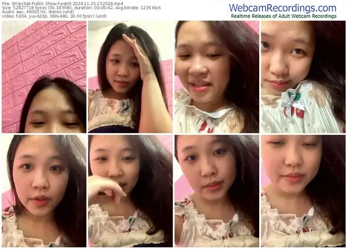 stripchat-pqnll-11-25-2024-15-25-28