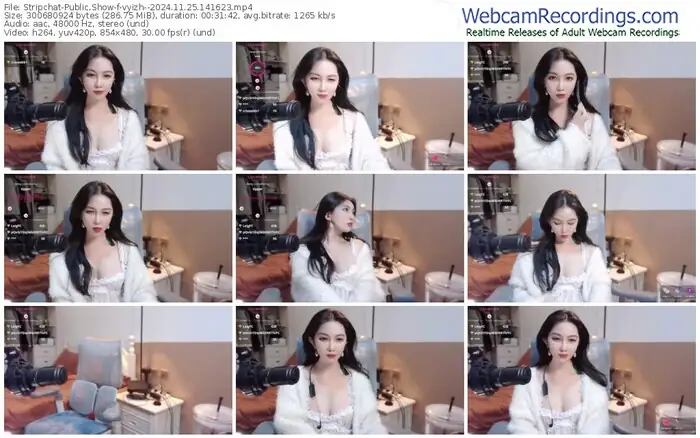 stripchat-vyizh--11-25-2024-14-16-23