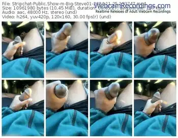 stripchat-big-steve01-11-25-2024-13-37-47