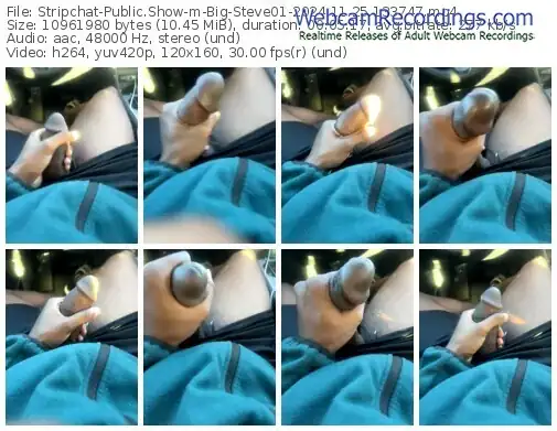 stripchat-big-steve01-11-25-2024-13-37-47