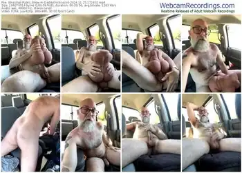 stripchat-daddythickcock4-11-25-2024-17-24-02