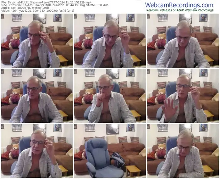 stripchat-ferret7777-11-25-2024-15-22-29