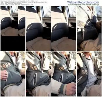 stripchat-zeefy-11-25-2024-11-04-42