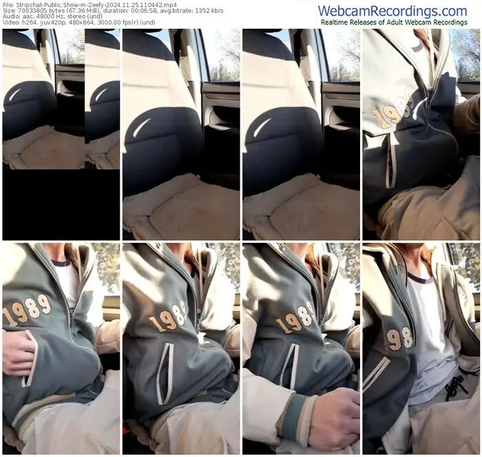 stripchat-zeefy-11-25-2024-11-04-42