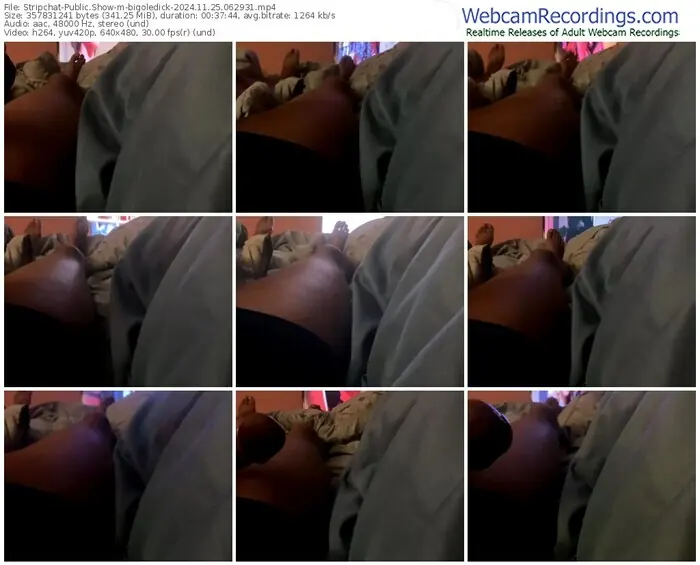 stripchat-bigoledick-11-25-2024-06-29-31