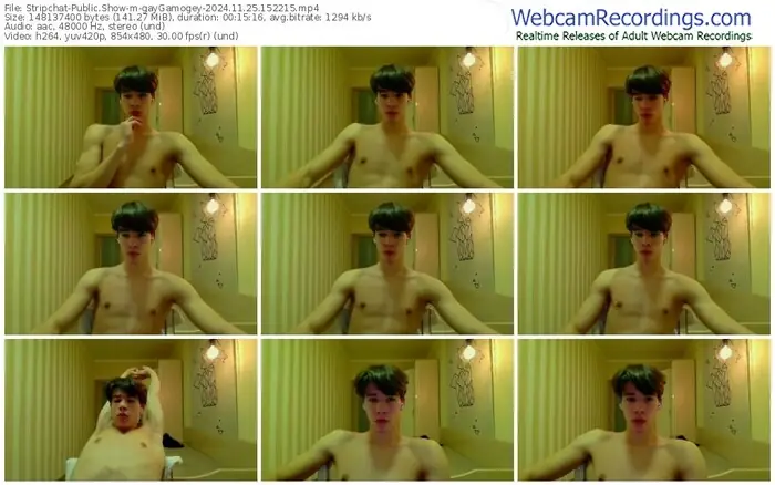 stripchat-gaygamogey-11-25-2024-15-22-15