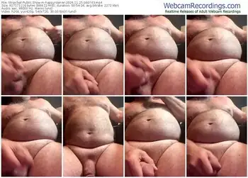 stripchat-happyroamer-11-25-2024-06-07-43