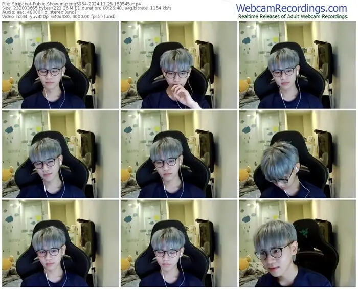 stripchat-peng5964-11-25-2024-15-35-45