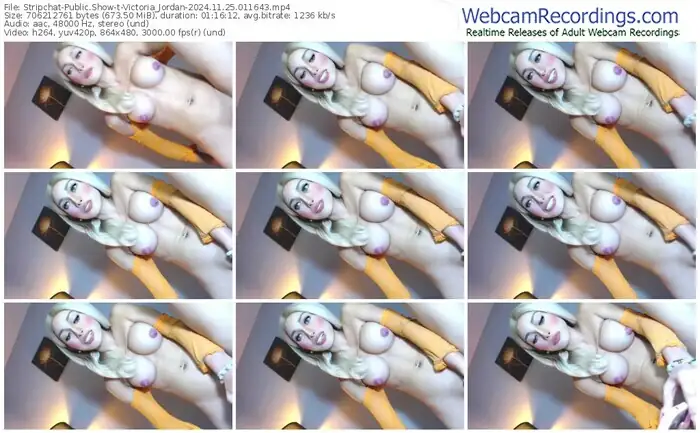 stripchat-victoria_jordan-11-25-2024-01-16-43