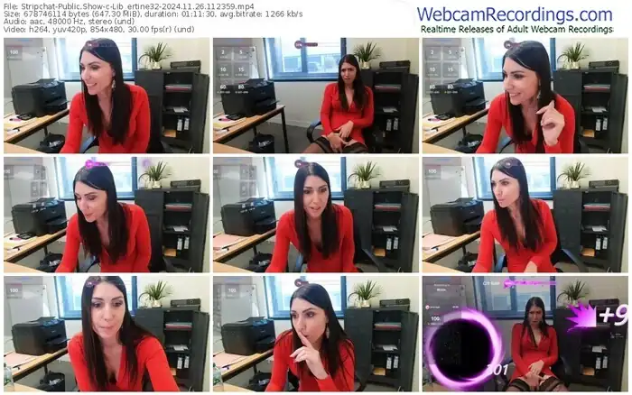 stripchat-lib_ertine32-11-26-2024-11-23-59