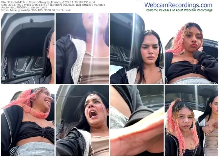 stripchat-naughty_friends_-11-26-2024-18-42-36