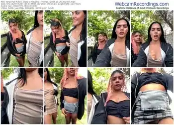 stripchat-naughty_friends_-11-26-2024-20-24-07