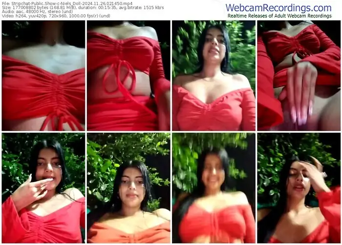 stripchat-niels_doll-11-26-2024-02-14-50