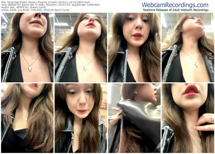 stripchat-peachy_dream-11-26-2024-01-58-09