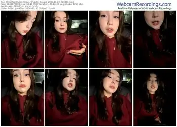 stripchat-peachy_dream-11-26-2024-22-38-39