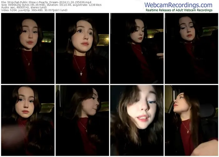 stripchat-peachy_dream-11-26-2024-23-56-36