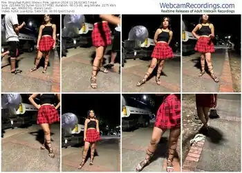 stripchat-pink_jazmin-11-26-2024-02-34-17