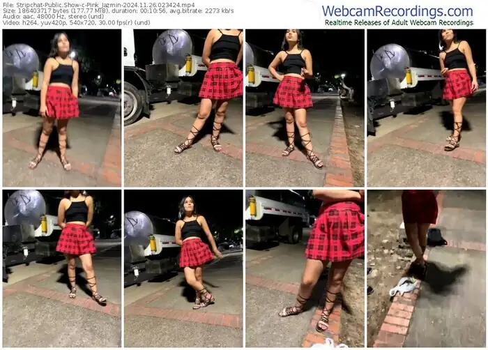 stripchat-pink_jazmin-11-26-2024-02-34-24