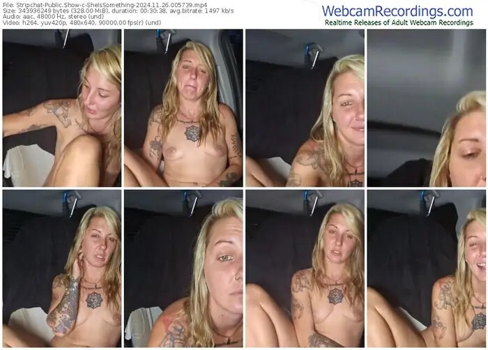 stripchat-sheissomething-11-26-2024-00-57-39