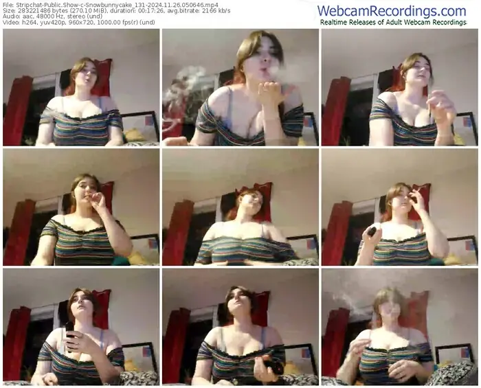 stripchat-snowbunnycake_131-11-26-2024-05-06-46