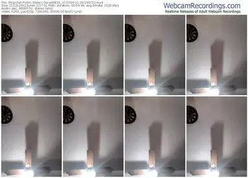 stripchat-texasmess_37-11-26-2024-19-07-52