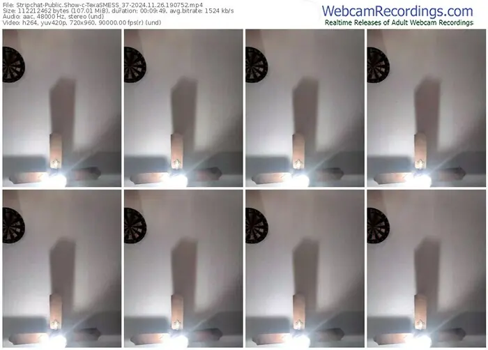 stripchat-texasmess_37-11-26-2024-19-07-52