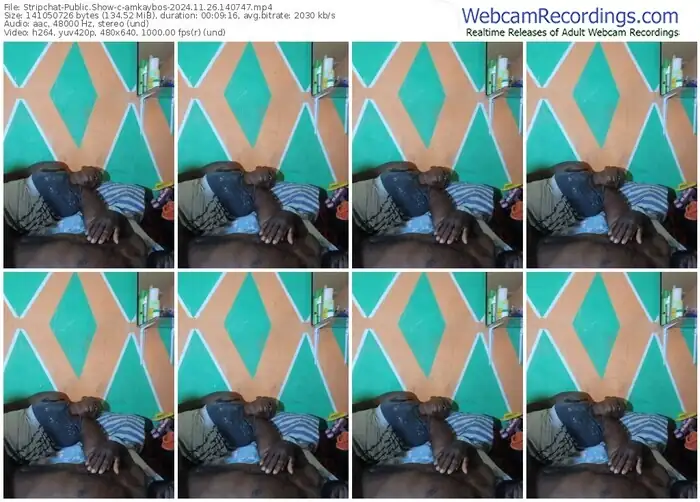 stripchat-amkaybos-11-26-2024-14-07-47