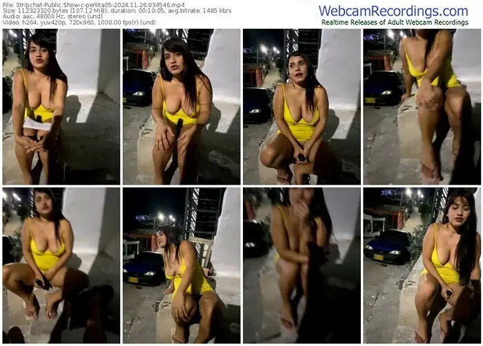 stripchat-perlita05-11-26-2024-03-45-46