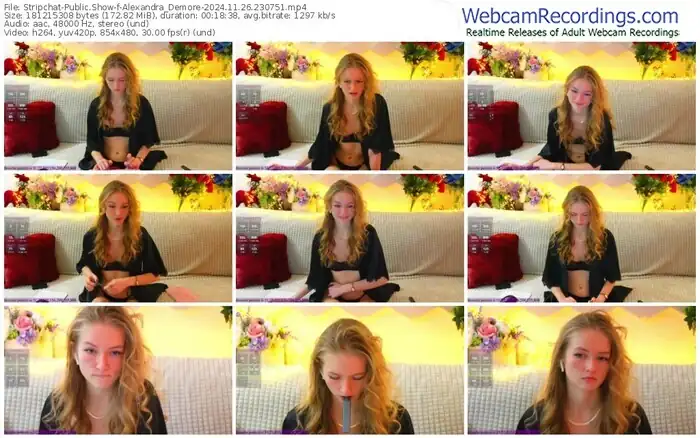 stripchat-alexandra_demore-11-26-2024-23-07-51