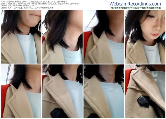 stripchat-chestnut023-11-26-2024-11-15-00