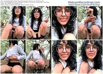 stripchat-fun_everywhere-11-26-2024-20-39-19