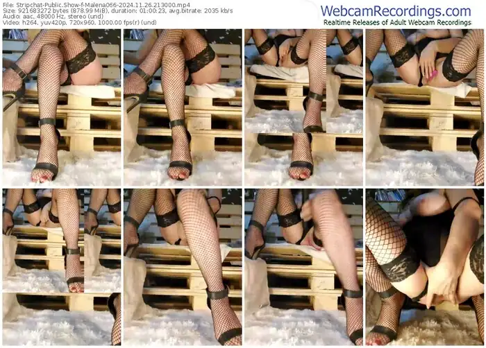 stripchat-malena066-11-26-2024-21-30-00