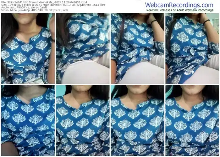 stripchat-meenakshi_-11-26-2024-04-16-38