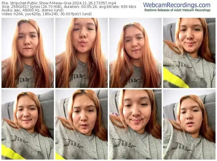 stripchat-meow-giss-11-26-2024-17-33-57