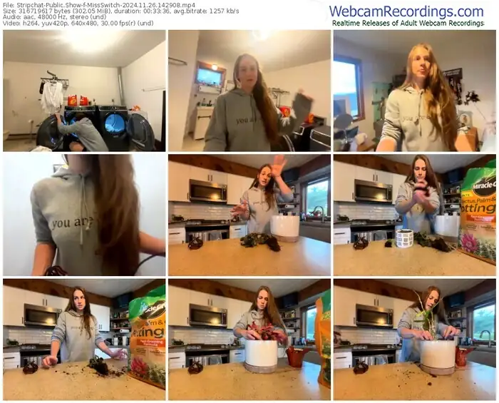 stripchat-missswitch-11-26-2024-14-29-08