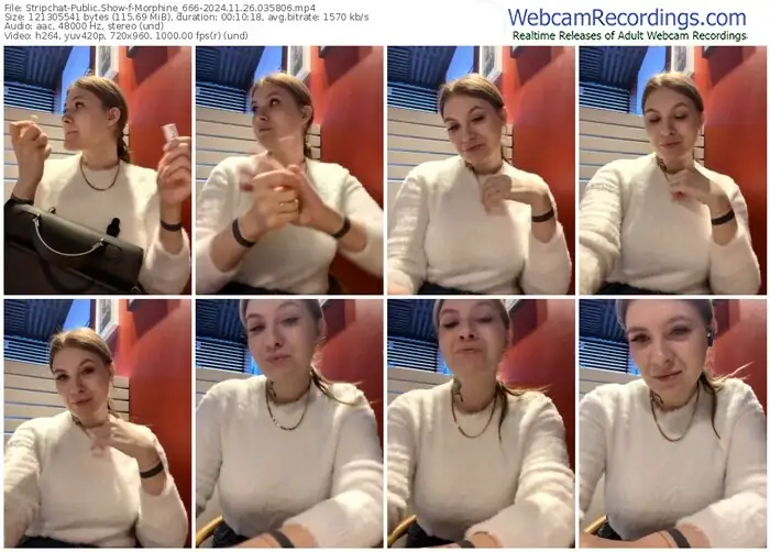 stripchat-morphine_666-11-26-2024-03-58-06