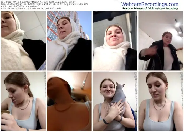 stripchat-morphine_666-11-26-2024-07-39-46