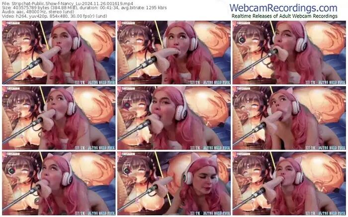 stripchat-nancy_lu-11-26-2024-00-16-19