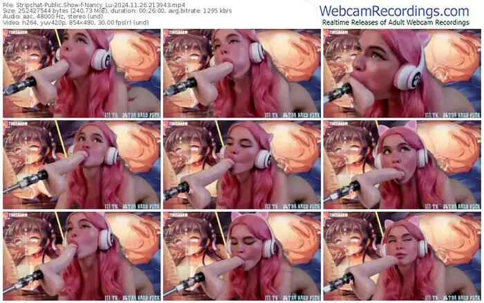 stripchat-nancy_lu-11-26-2024-21-39-43