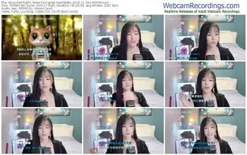 stripchat-original-heartbaby-11-26-2024-14-43-58