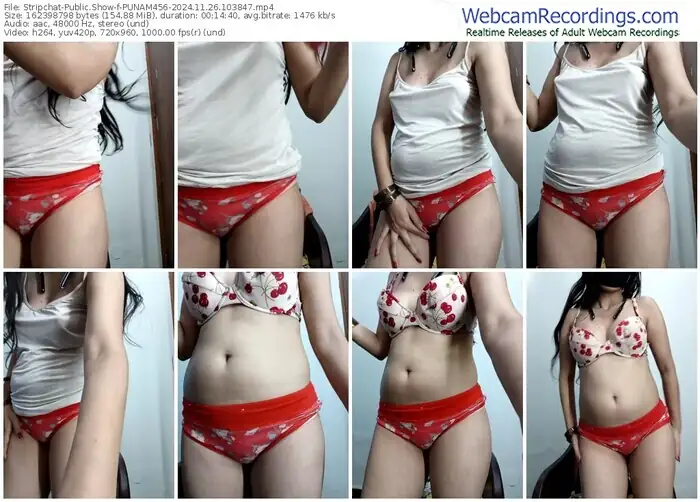 stripchat-punam456-11-26-2024-10-38-47