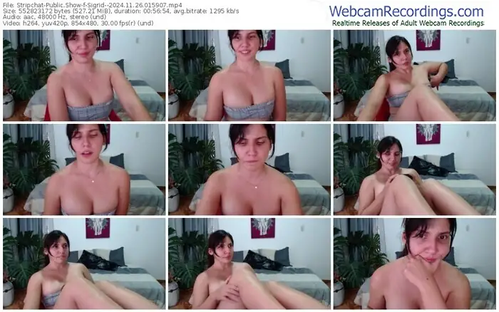 stripchat-sigrid--11-26-2024-01-59-07