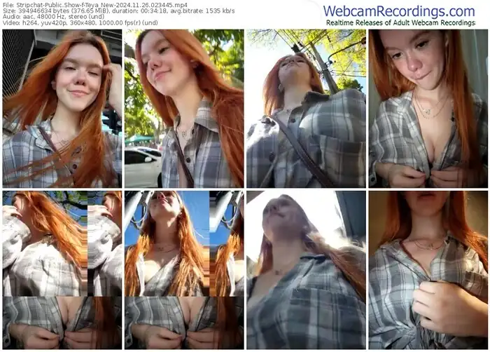 stripchat-teya_new-11-26-2024-02-34-45
