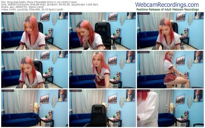 stripchat-tweet88-11-26-2024-19-05-13