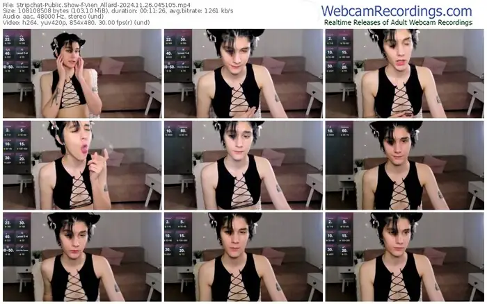 stripchat-vien_allard-11-26-2024-04-51-05