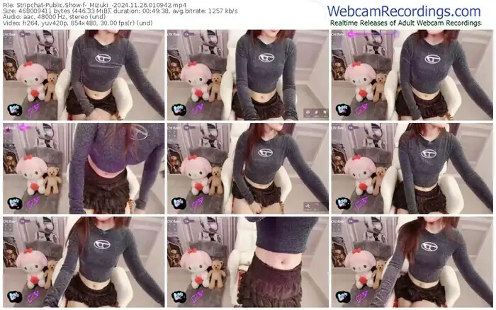 stripchat-_mizuki_-11-26-2024-01-09-42