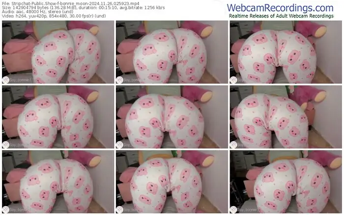 stripchat-bonnie_moon-11-26-2024-02-59-23